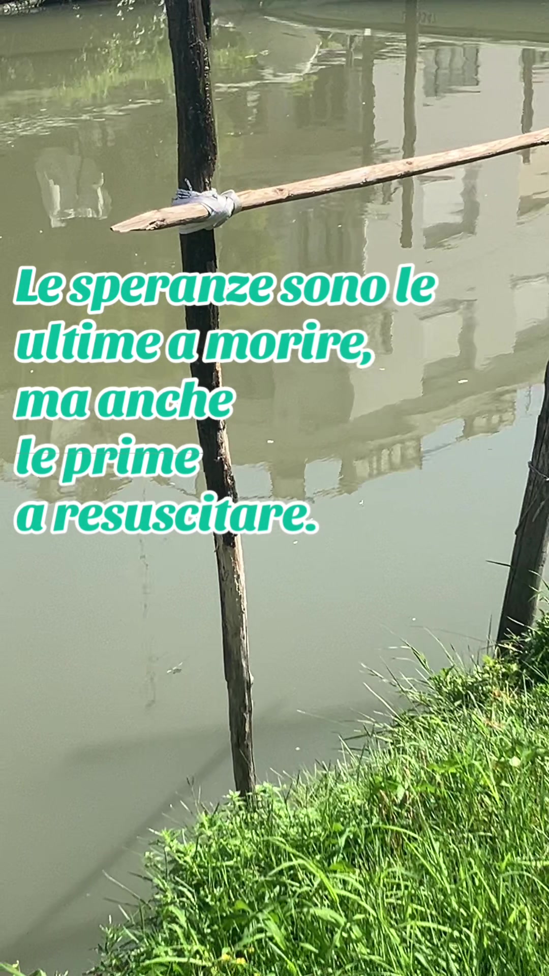 @Massimo Donà