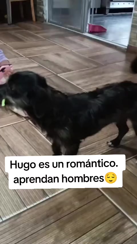 @QuimeyMacarena