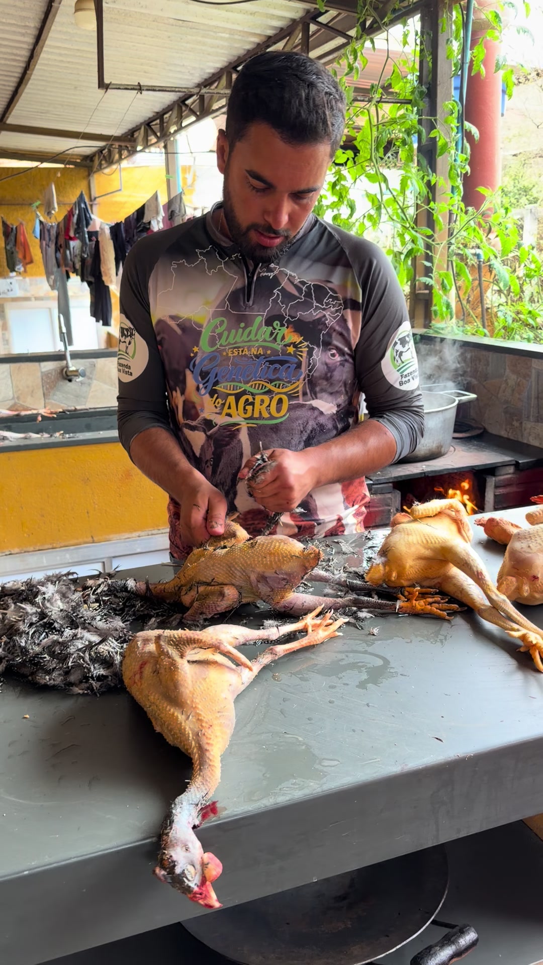 @Fabrício Vieira