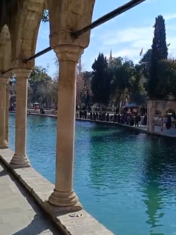 @aşçı hanım