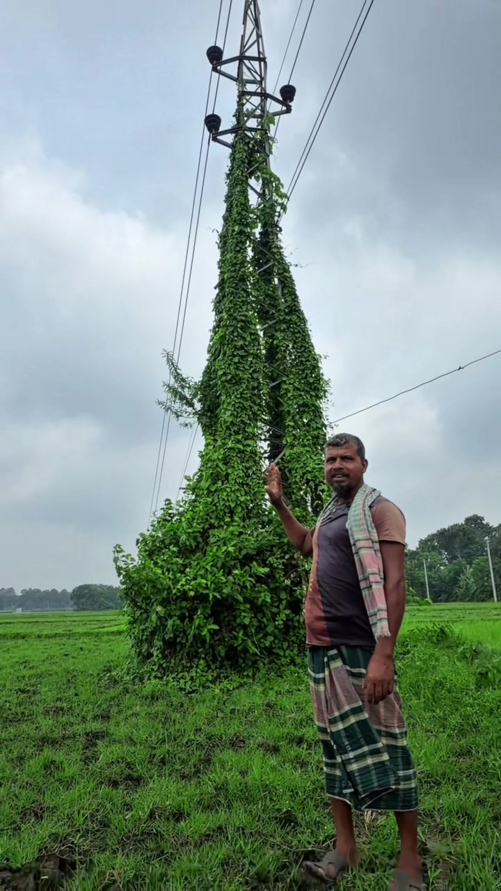@কৃষি আপডেট
