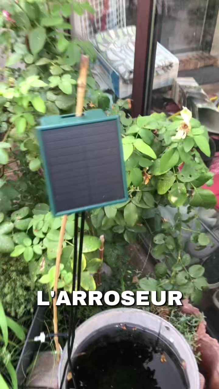 @lecoindesplantes