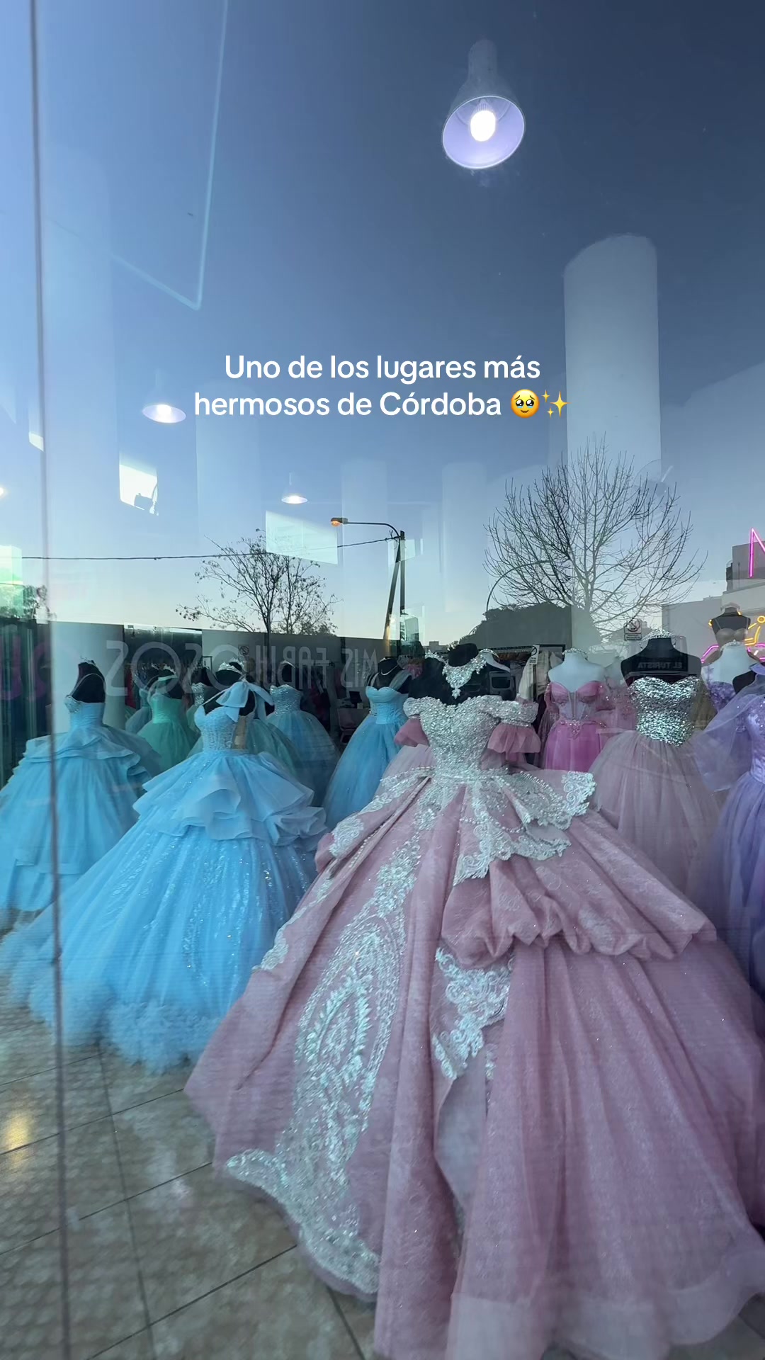 @Mis Fabulosos Quince