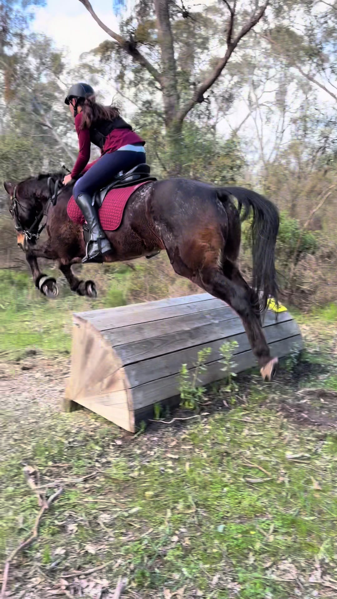 @t.equestrianxx