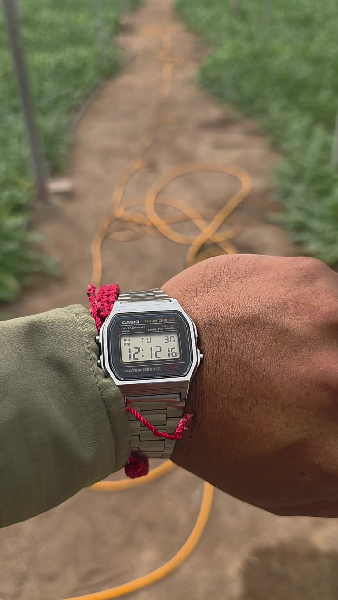 @El Extensionista del Agro