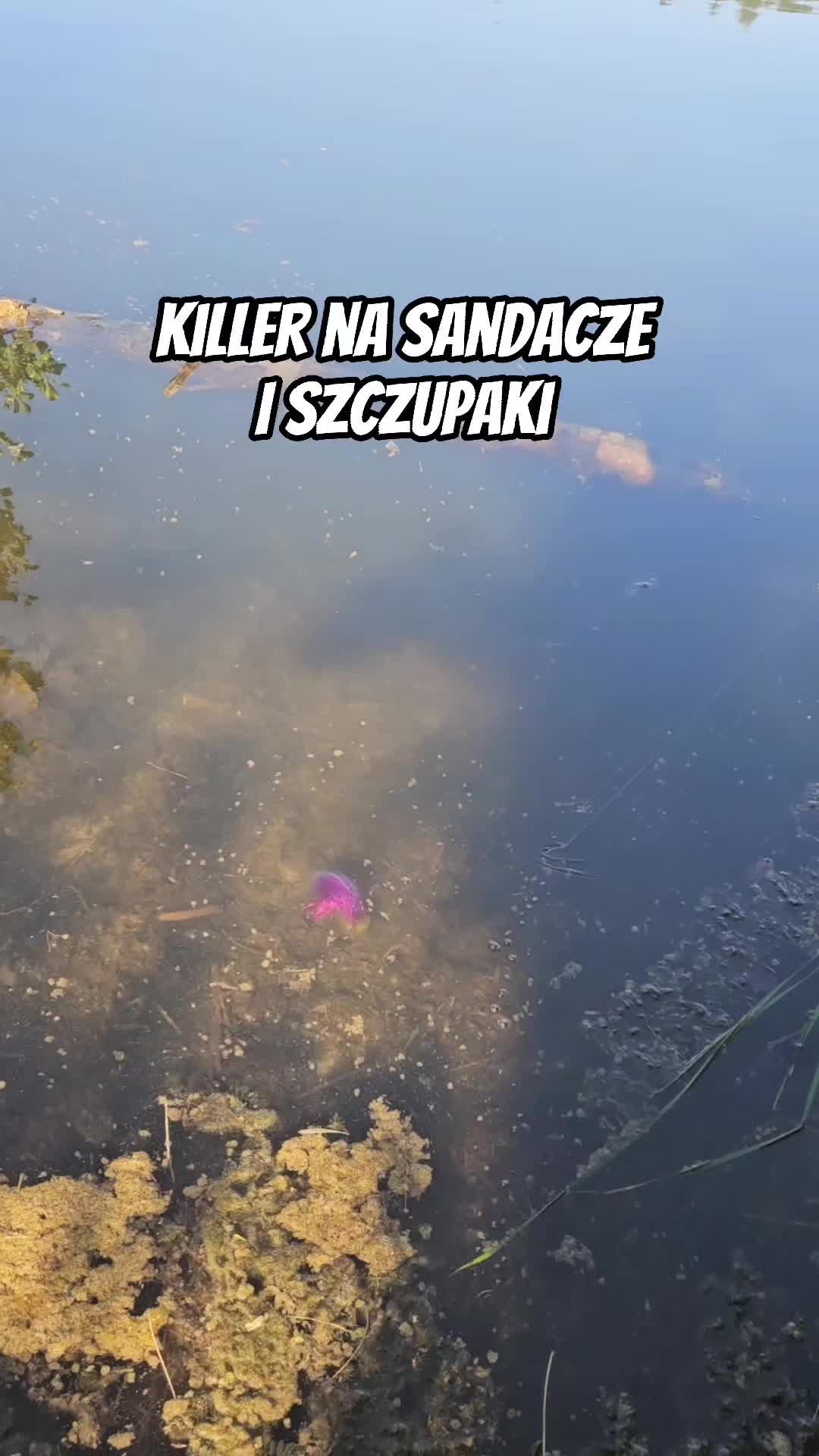 @mfly_lures