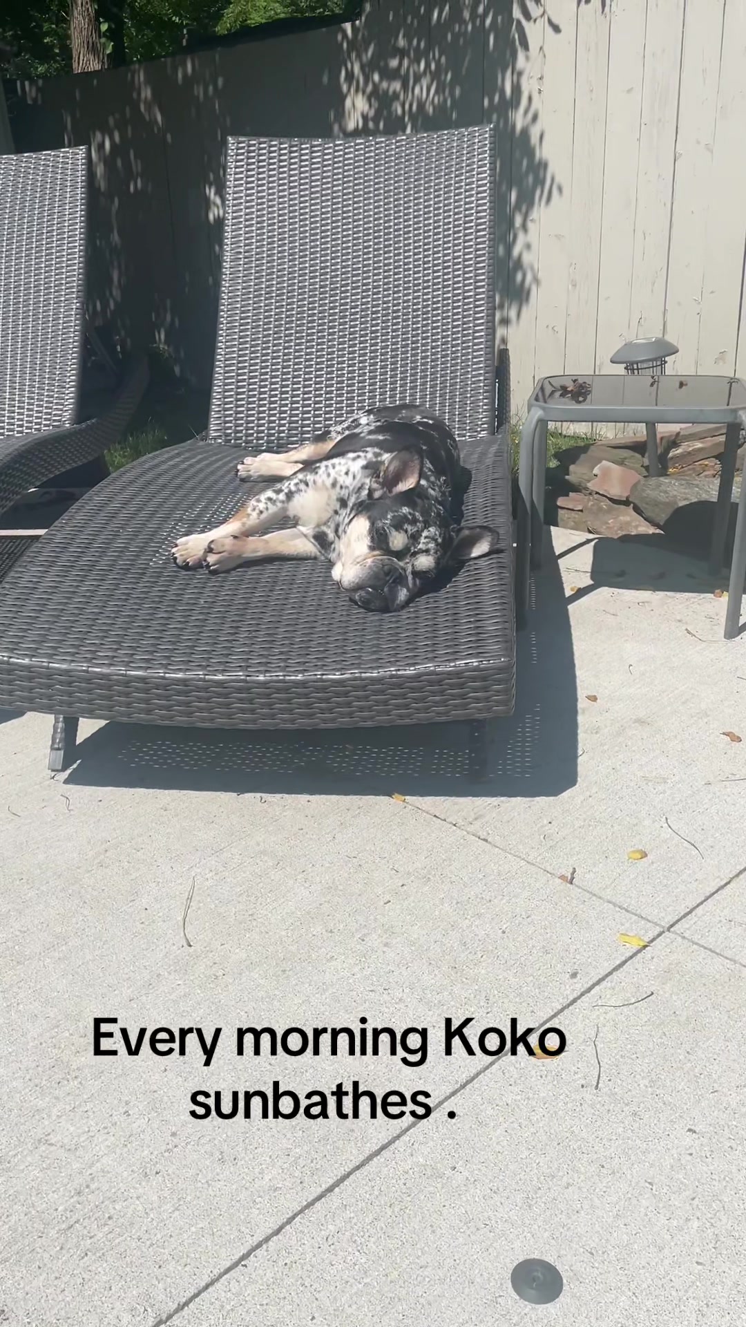 @Koko🇨🇦