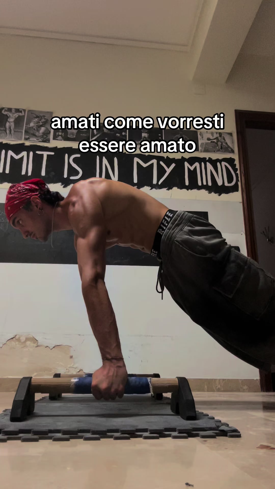 @alex.calisthenix