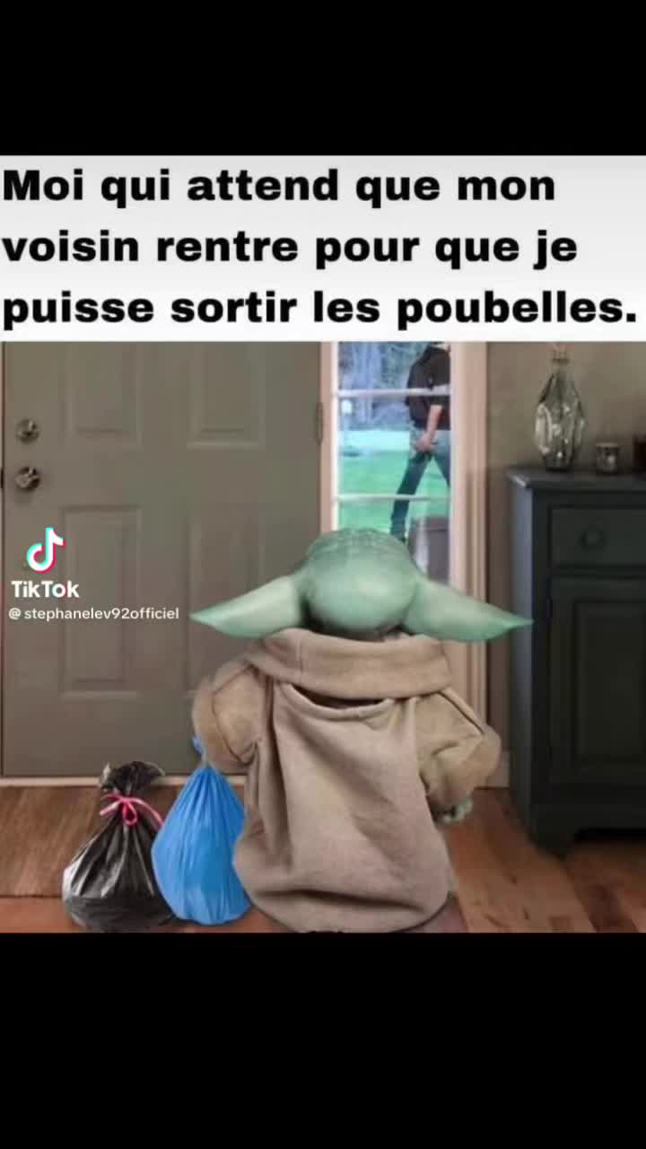 @stephanelevinternational
