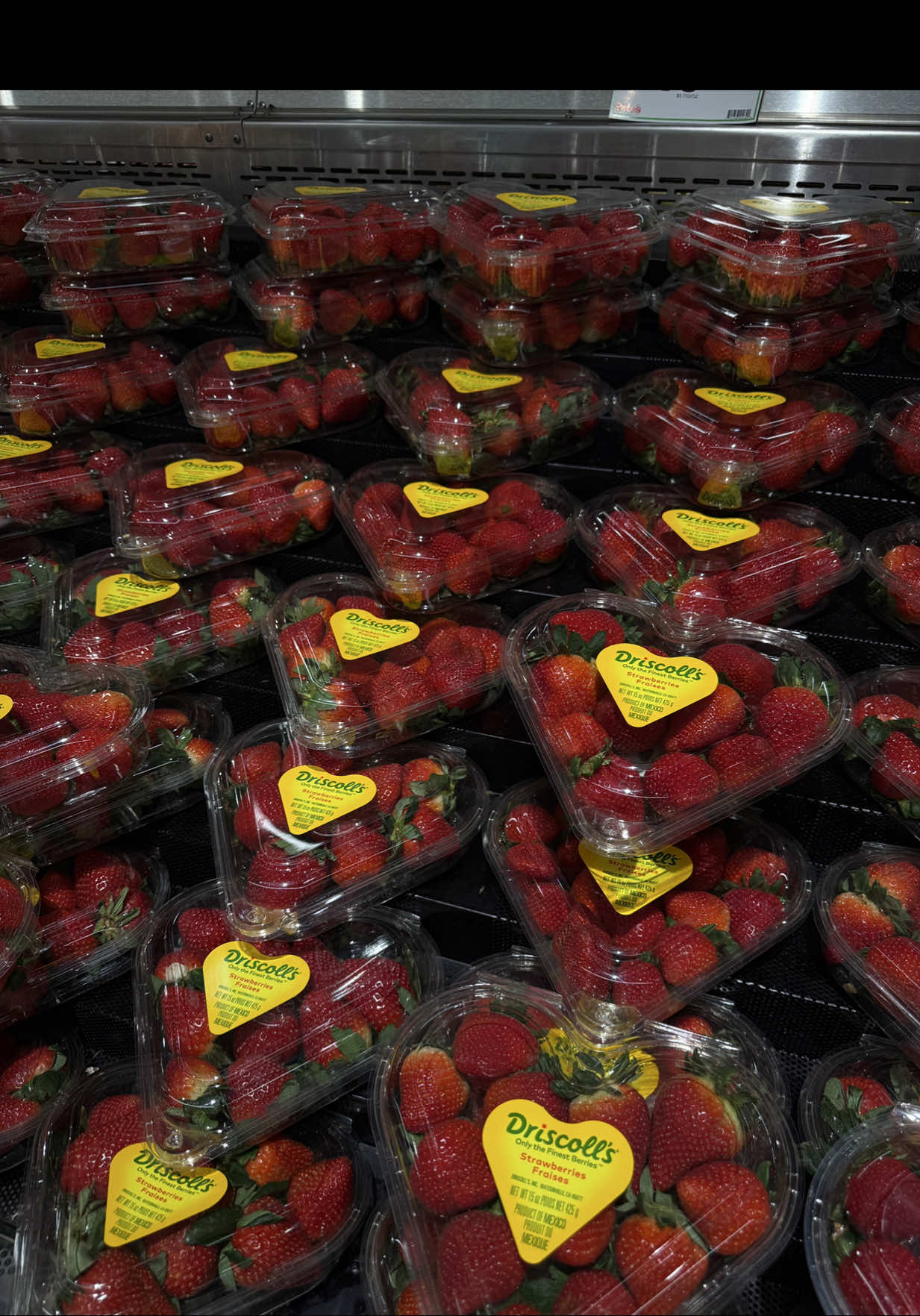 @Sammy🍓