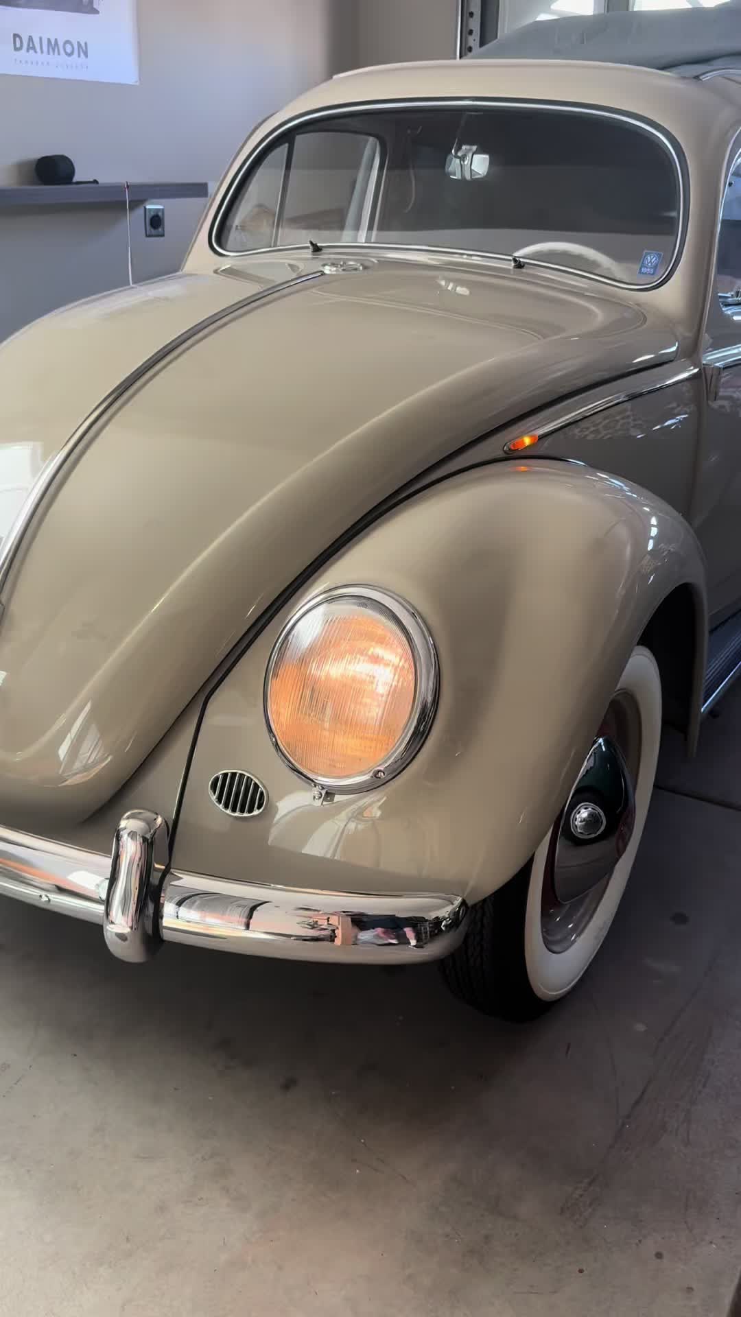@project_beetle