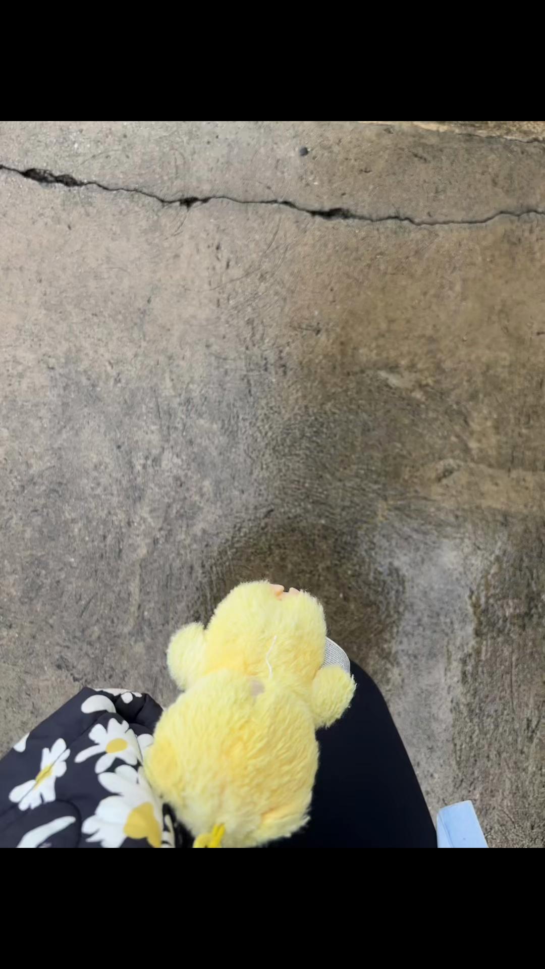 @marigabi