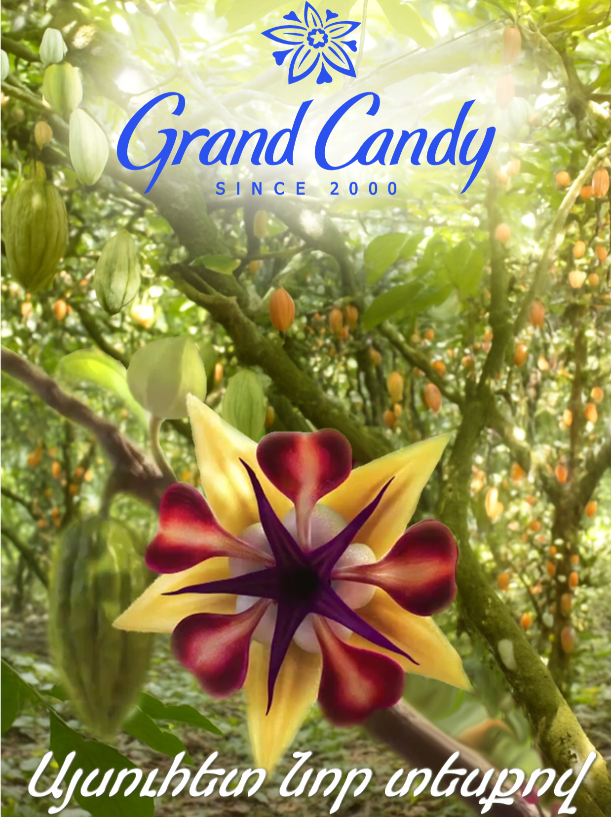 @Grand Candy