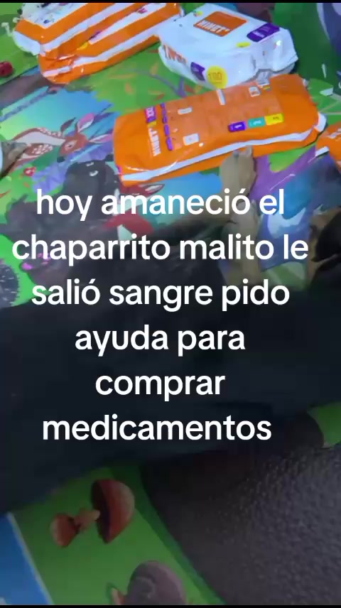 @Rescateyrefugio2