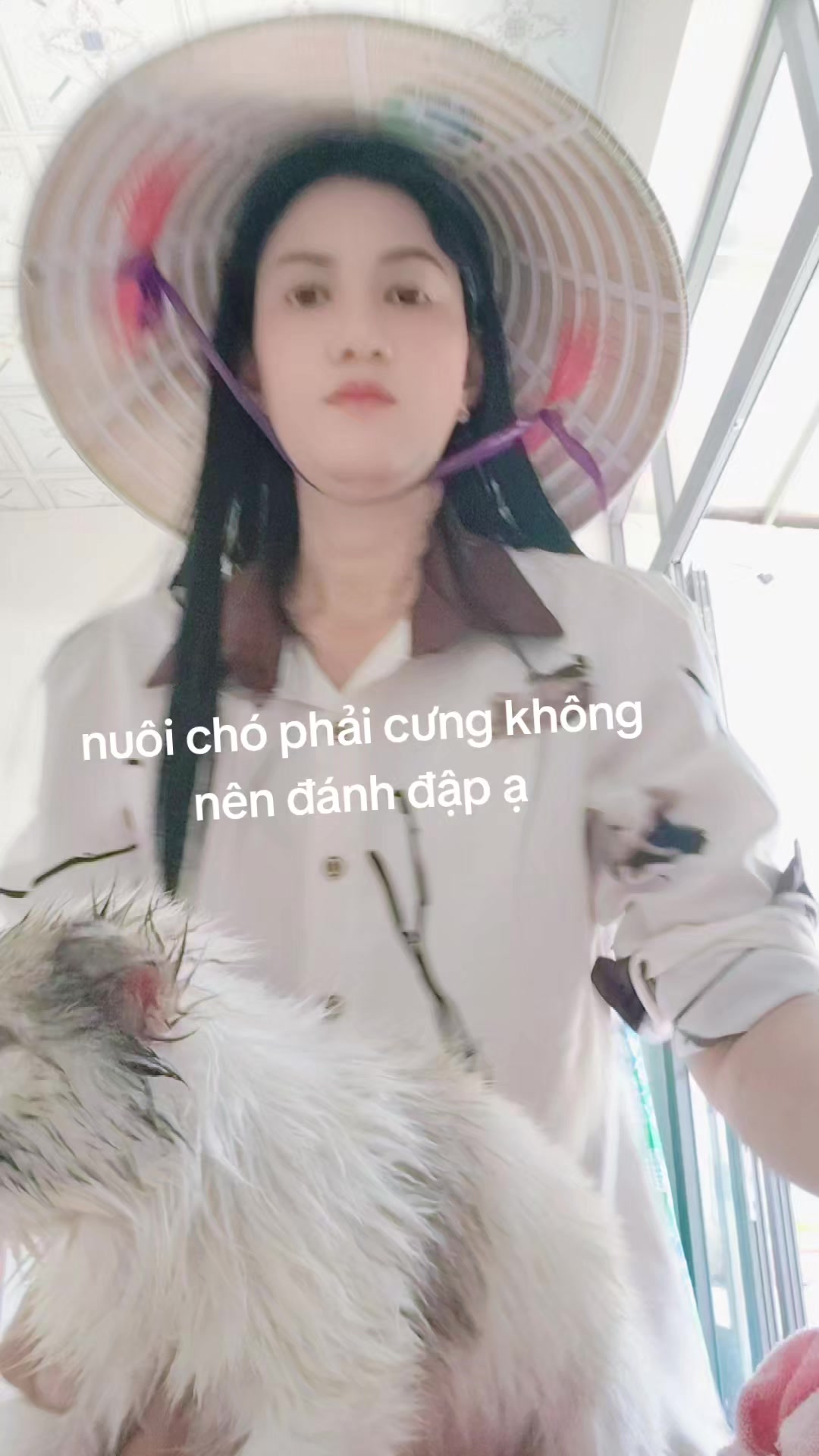 @nh&oacute;m tn diệu hạnh bỏ c&ocirc;ng sức