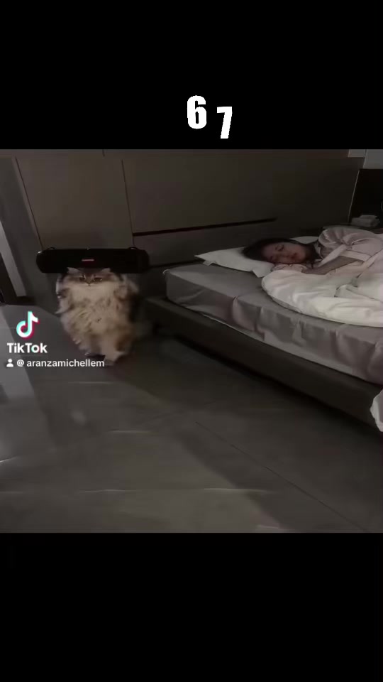 @๐๐๐๐๐ง๐๐๐๐โ๐๐๐๐โ