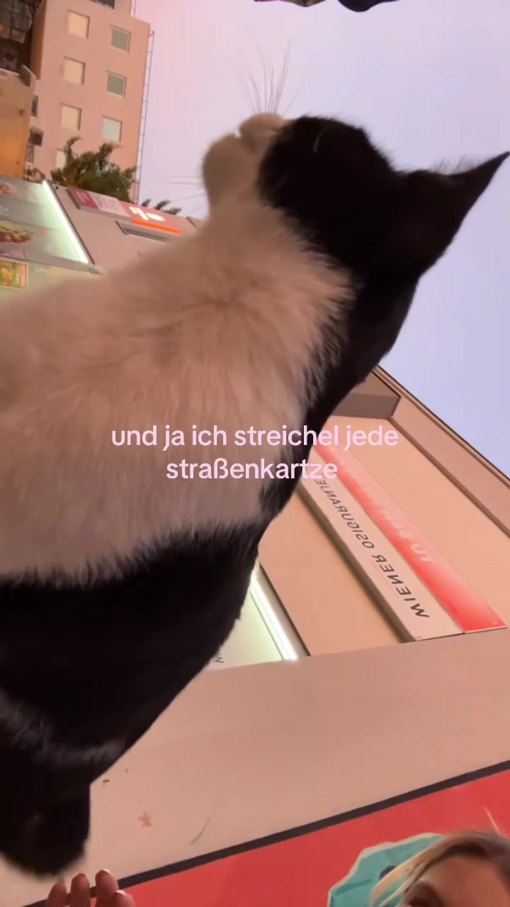 @greta
