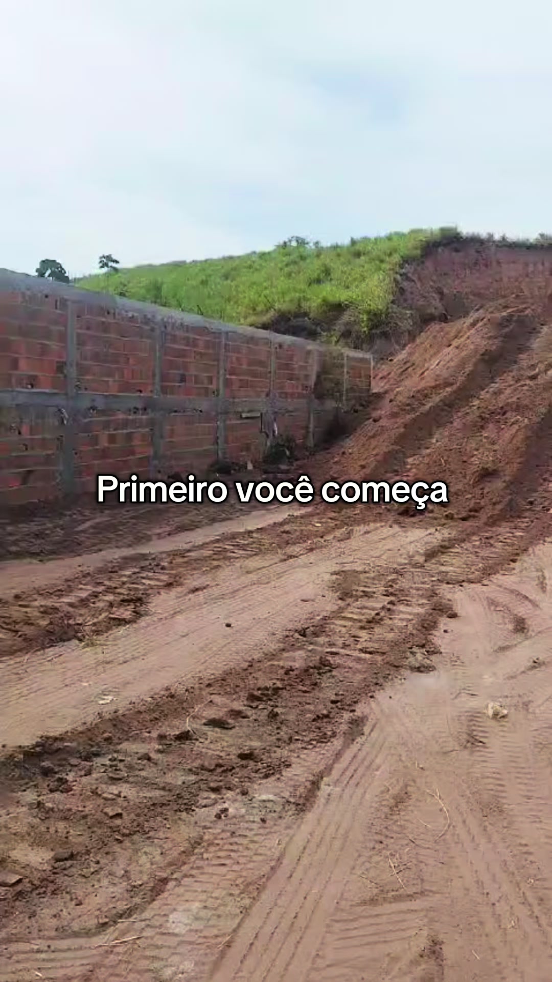 @Grace Vasconcelos