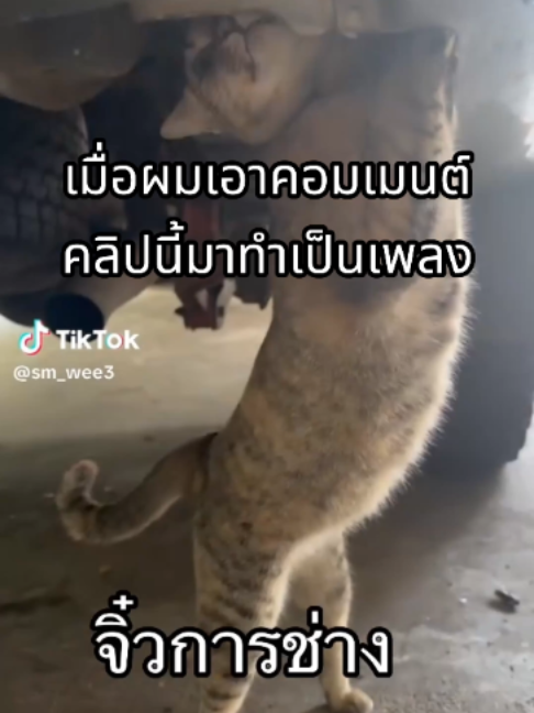 @ผักกาดดด