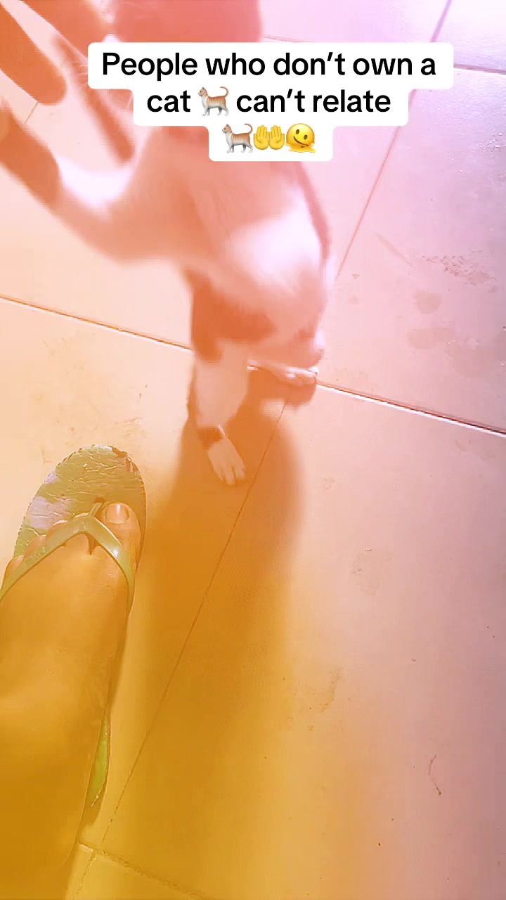 @Ambepaul