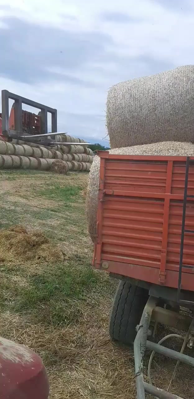 @markobuljovcic98