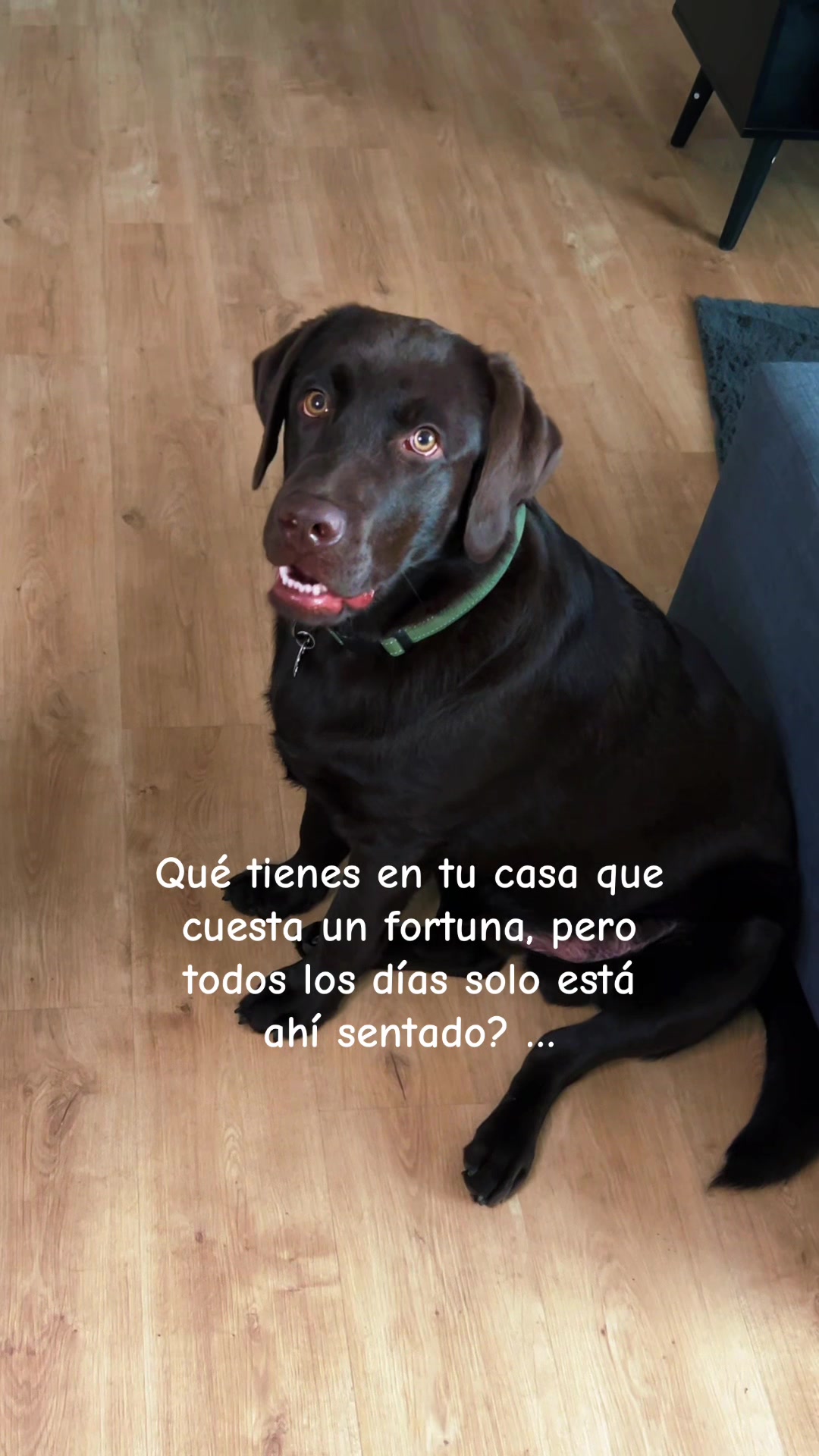 @Cindy