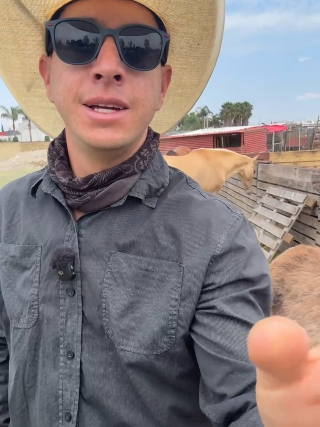 @Fotoranch
