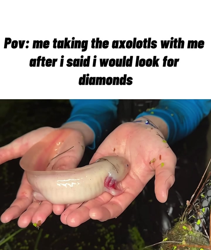 @Minecraftdailyy