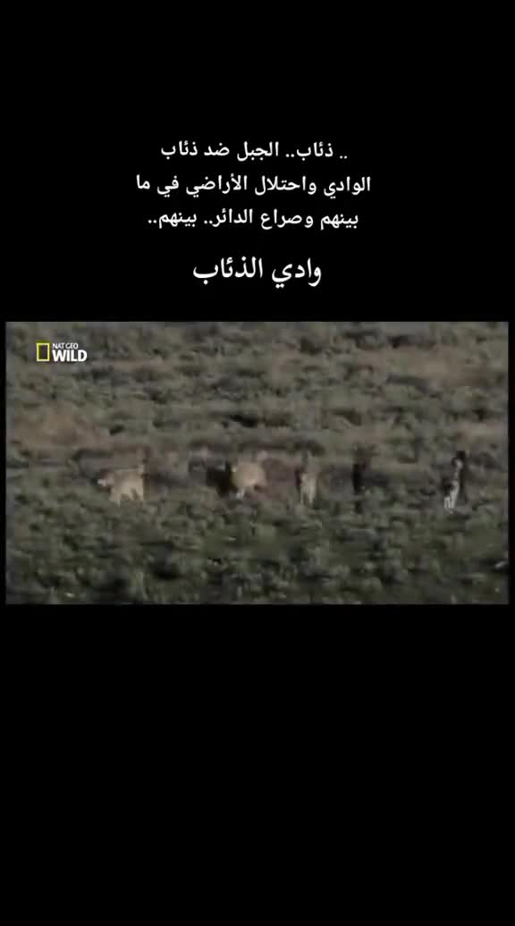 @غازي الديج
