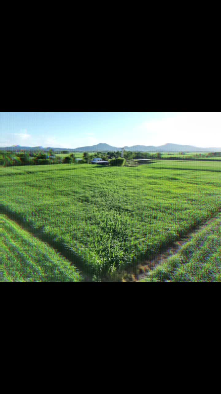 @อ.เต้ย บึงสามพัน