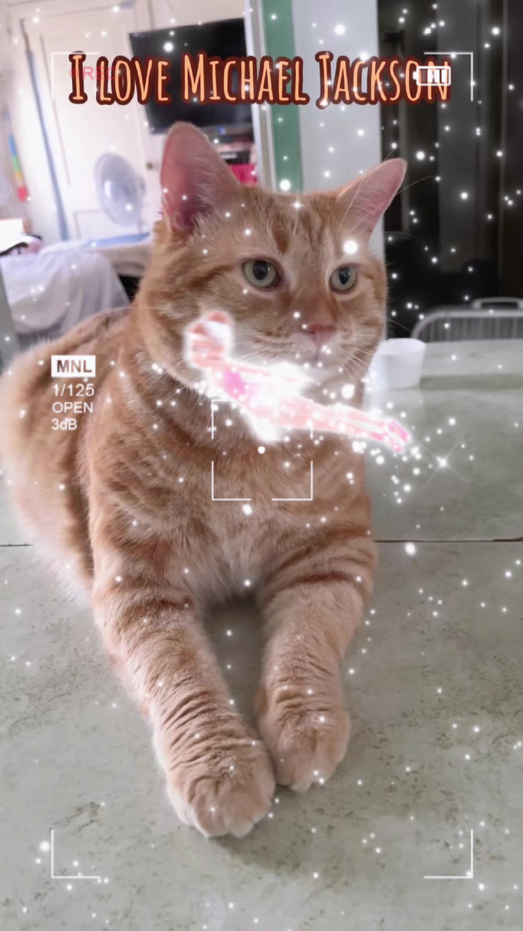 @TIKTOK&rsquo;S KING