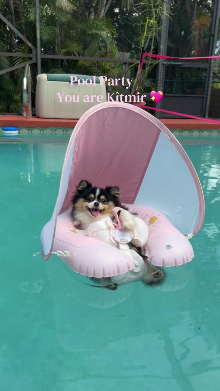 @kitmirandnazo