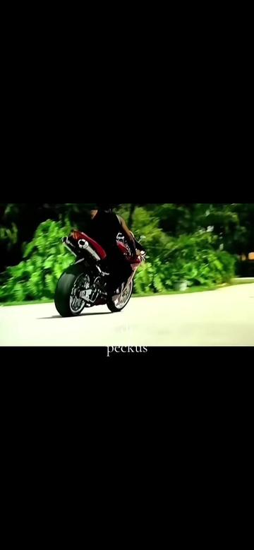 @peckus_jam_rock