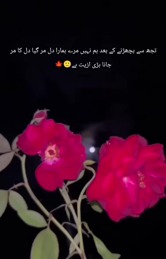 @~𝖬𝖺حeEn💜