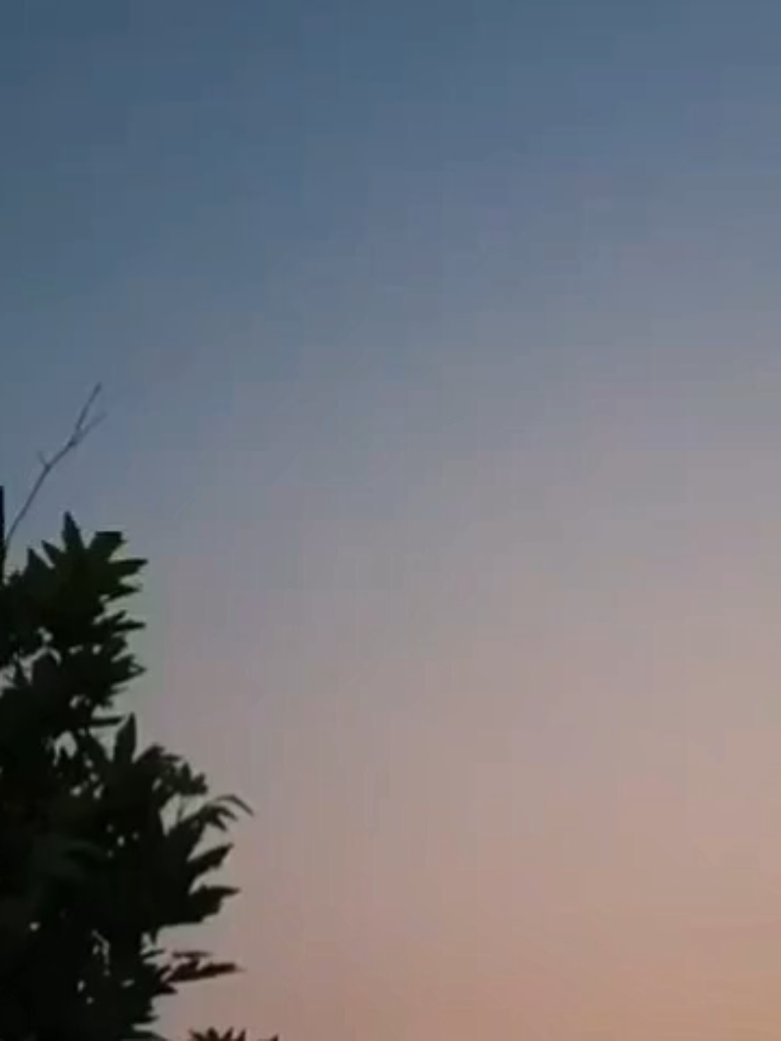 @🦂