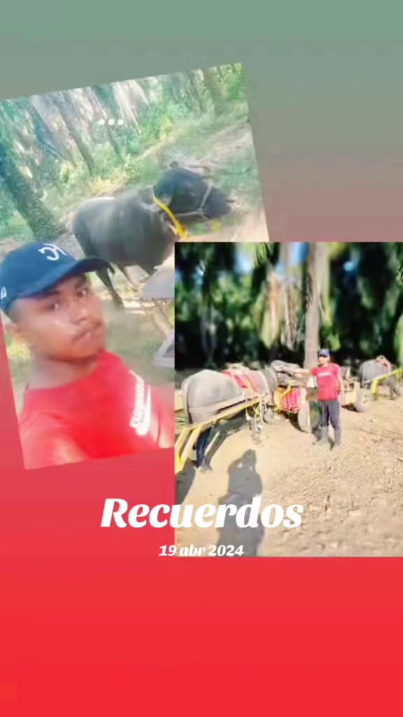 @Alfredo Polanco