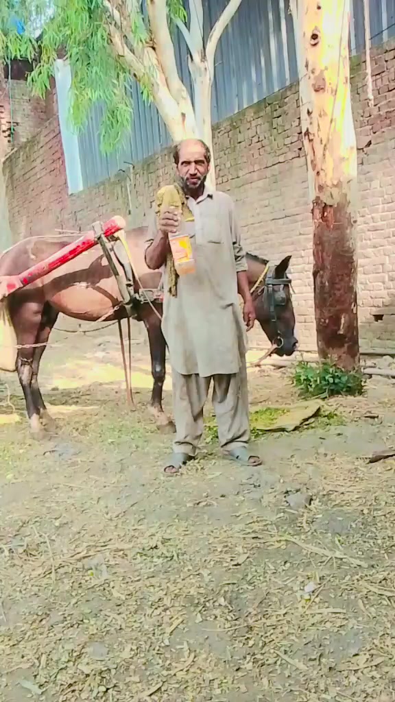 @Ch M Shahzad gujjar