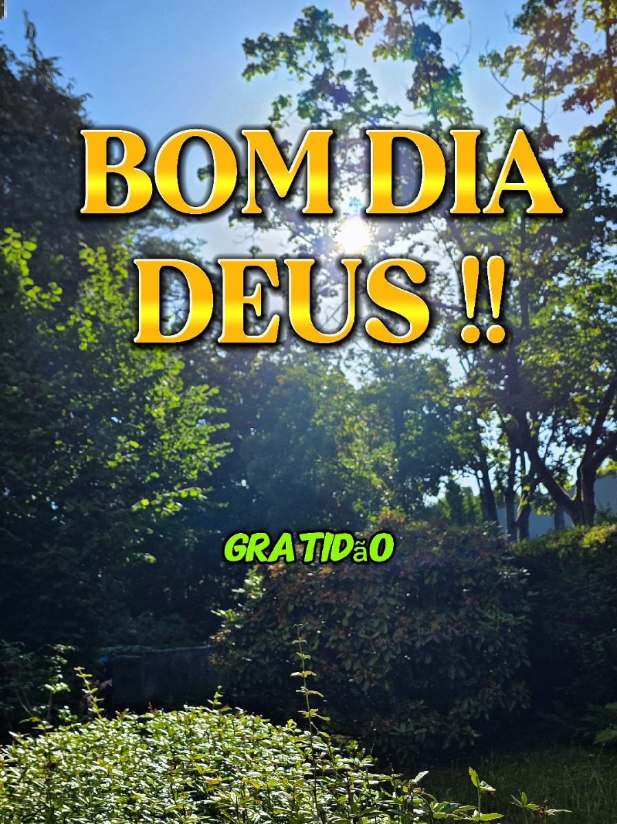 @PromessadeDeus91