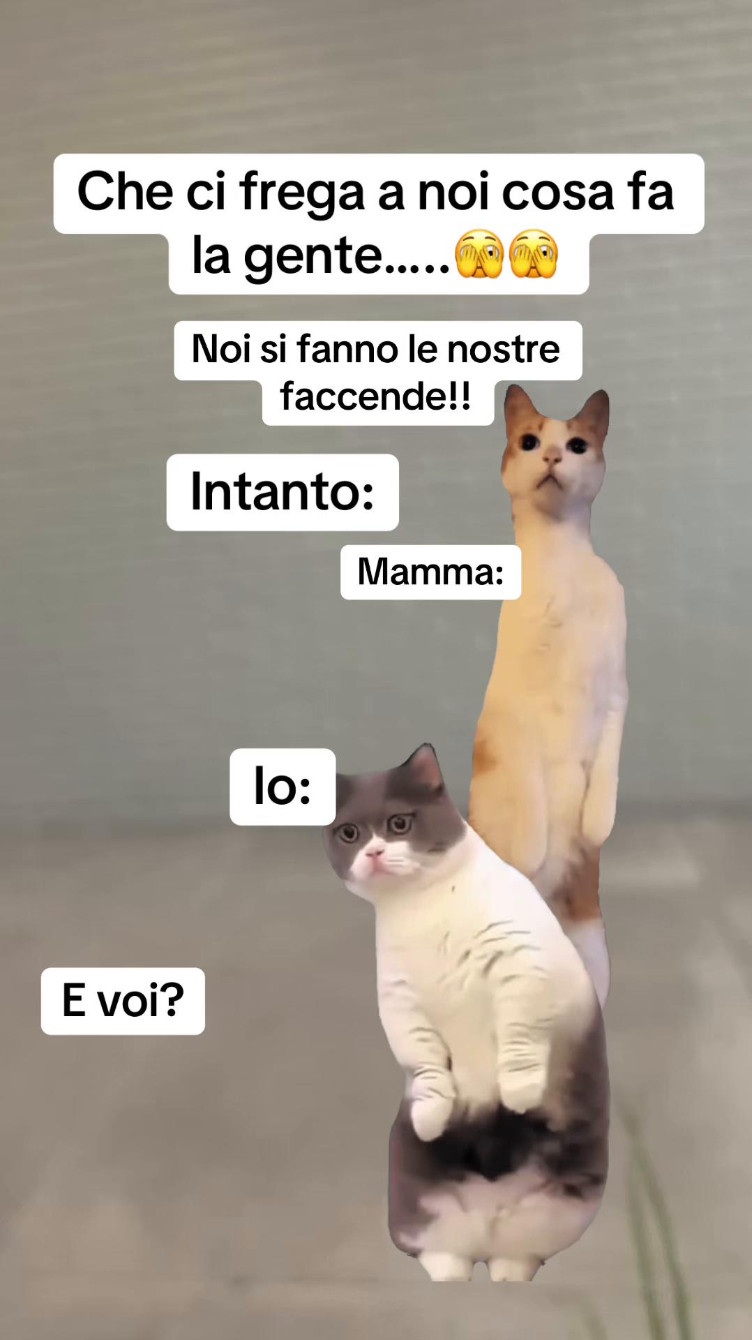 @LOLSempre😜😜