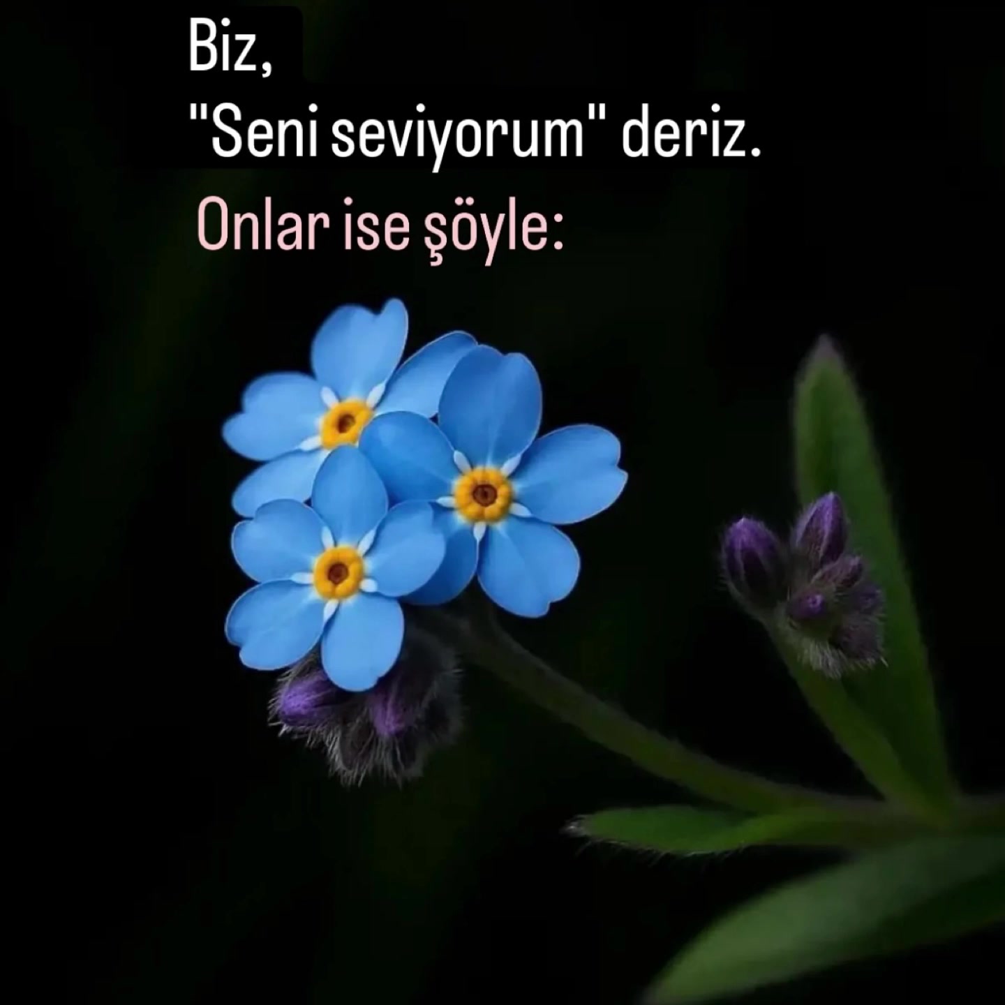 @Bekir Yilmaz
