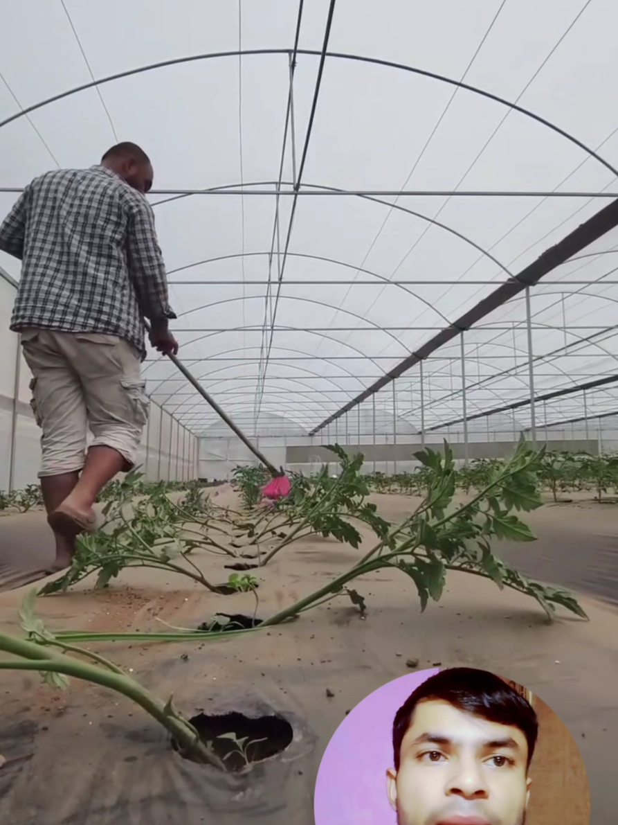 @Prajapati Agro Vet