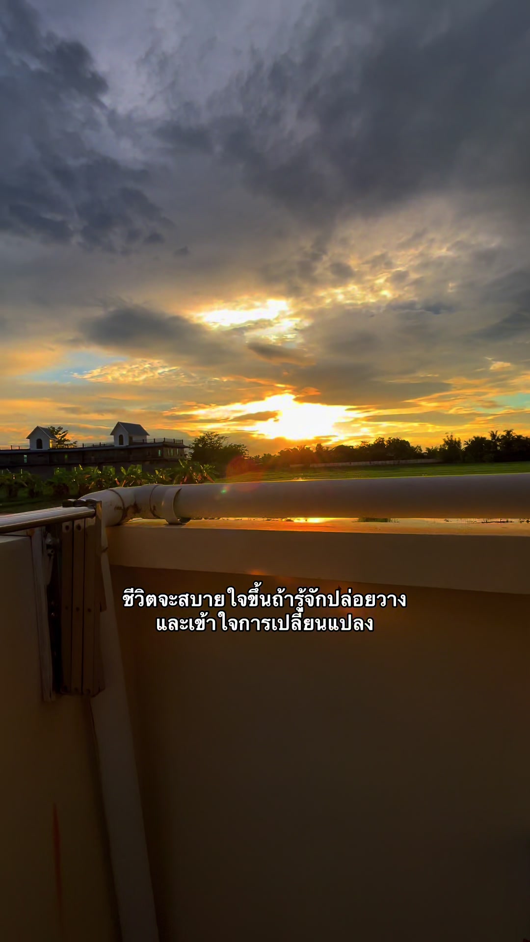 @เธรดของหมีพู🐻(11.7k)