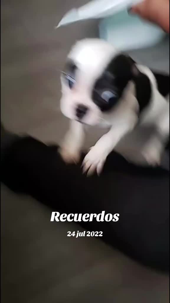 @churros805