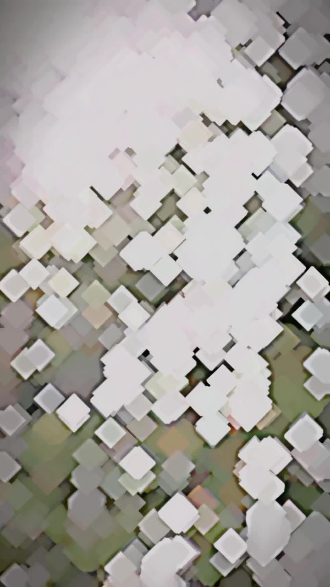 @Rêshmëë🦋❣️🧿