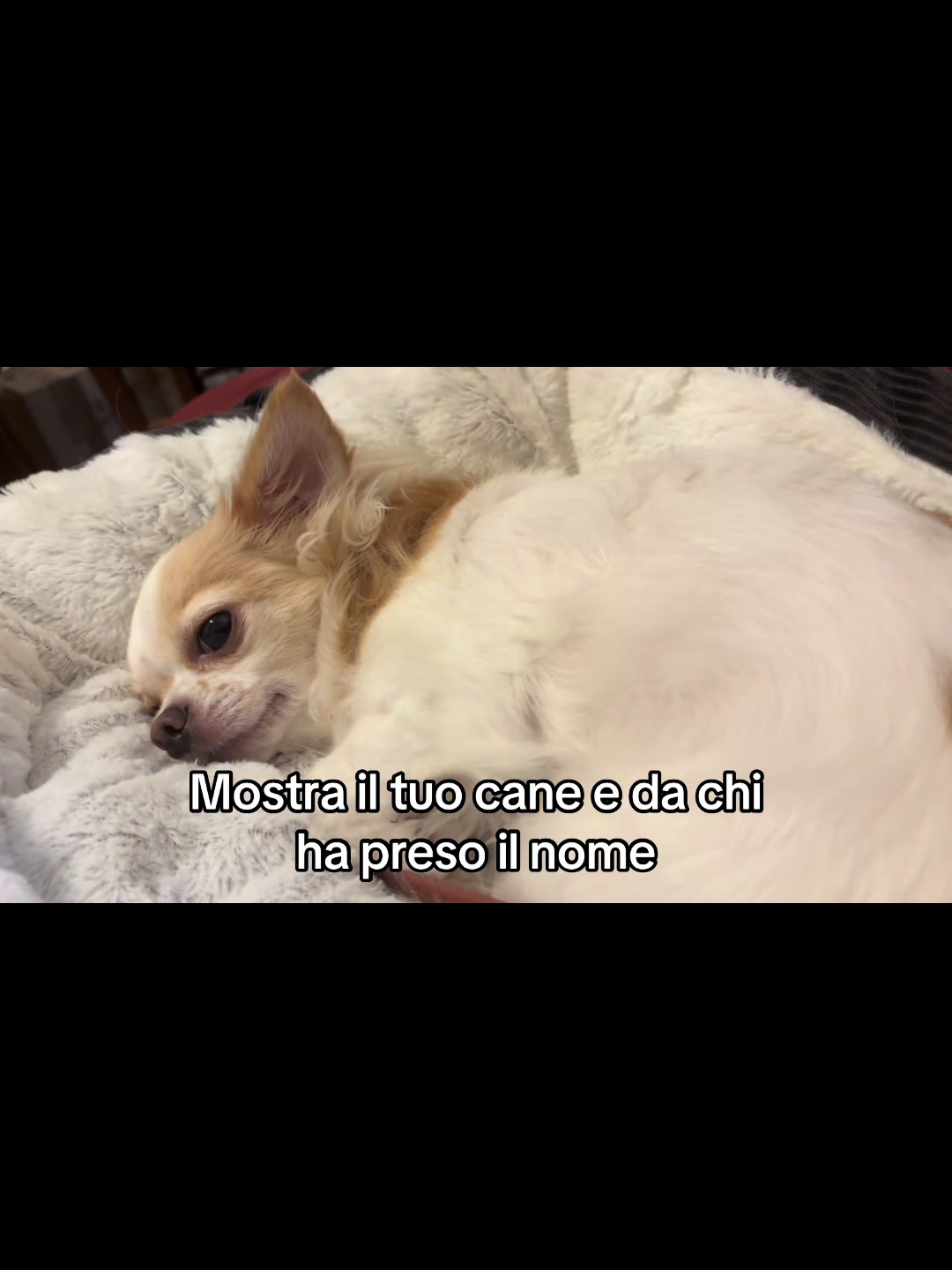 @Francy26