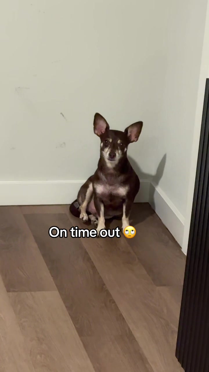 @Bruno28