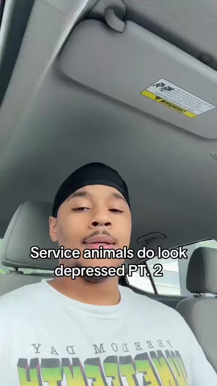 @ladyvetandherpack