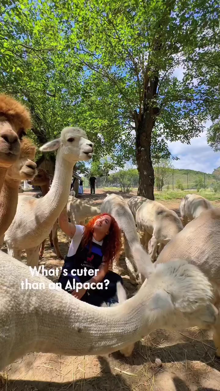 @Azerbaijan Explore