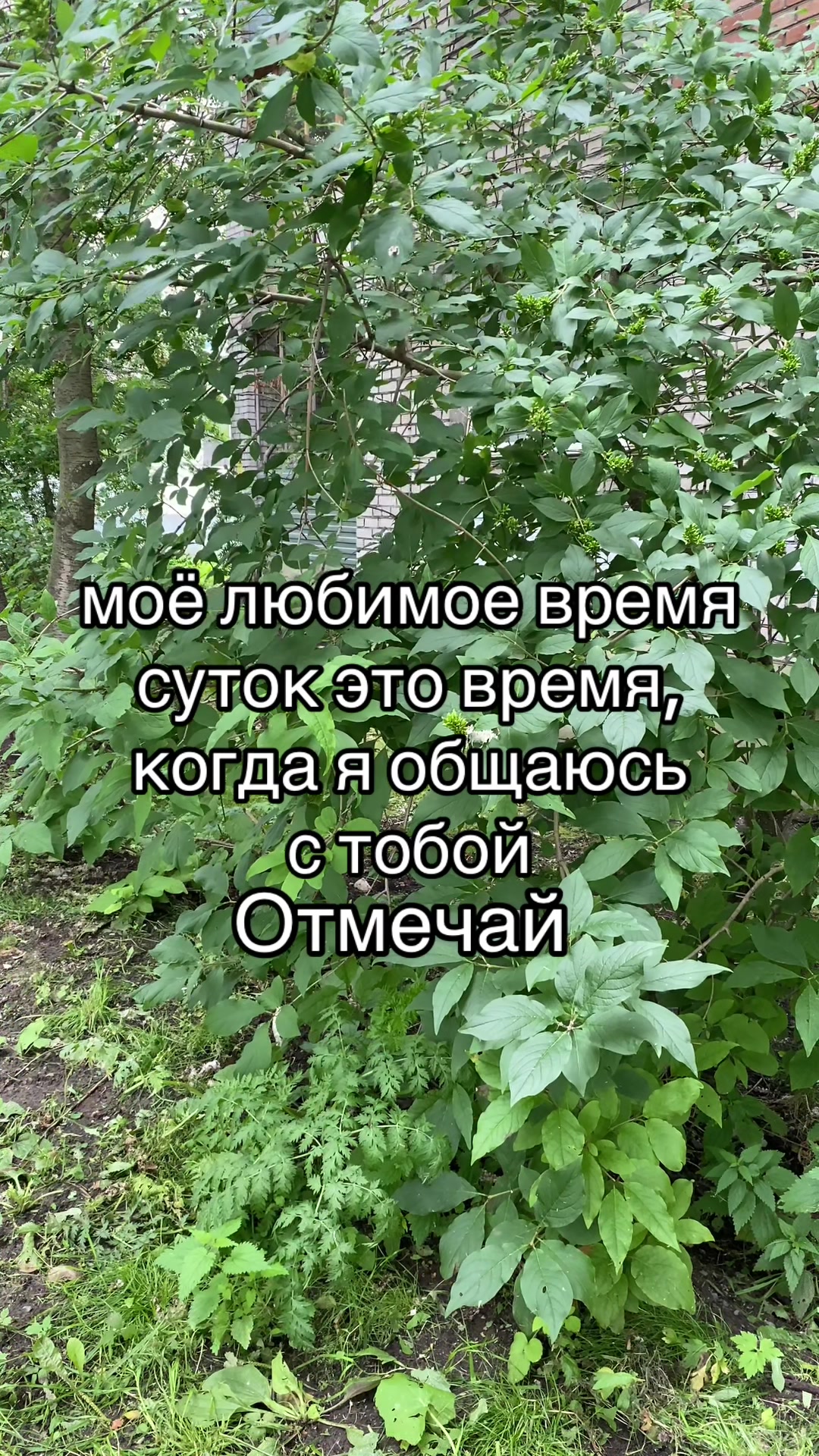 @Данил