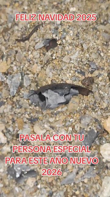 @Tarot y Rituales poderosos
